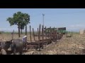 Steam of Jawa(Sumberharjo Suger Mill) Indonesia(Jul.2013) 1 ジャワ（スンベルハルジョ製糖工場）の蒸気機関車（2013年7月）1