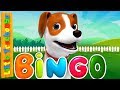 Bingo Was His Name O | Kindergarten Songs and Videos for Children