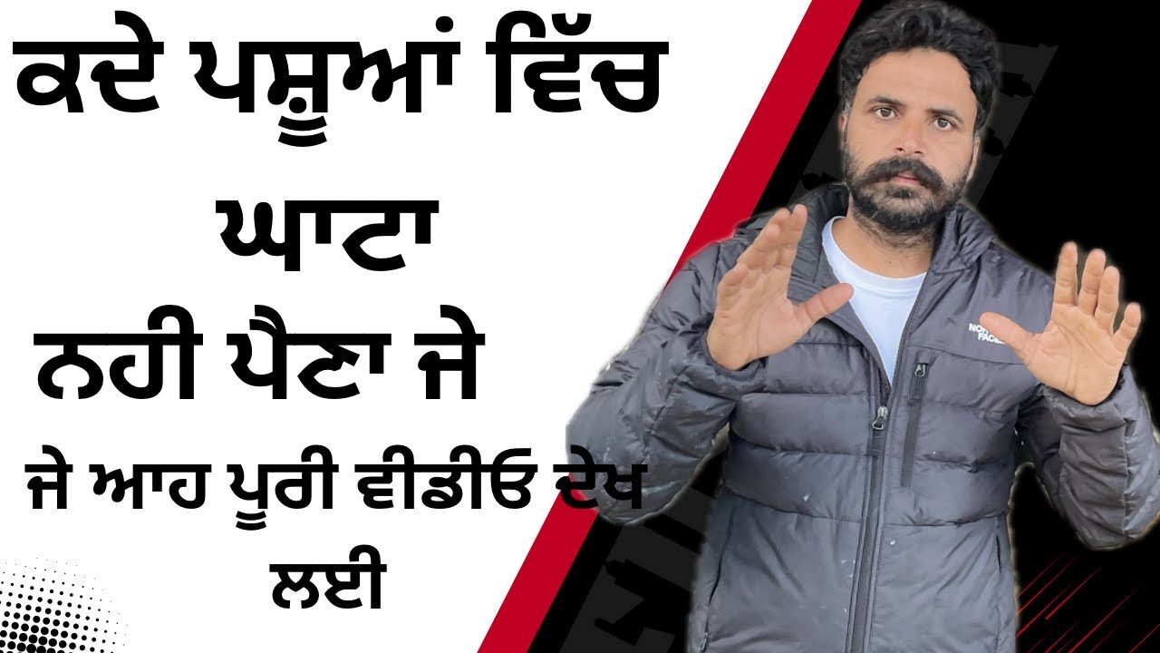ਕਦੇ ਪਸ਼ੂਆਂ ਦੇ ਕੰਮ ਵਿਚੋਂ ਘਾਟਾ ਨਹੀ ਖਾਂਦੇ ਜੇ ਆਹ ਵੀਡੀਓ ਪੂਰੀ ਦੇਖ ਲਈ 