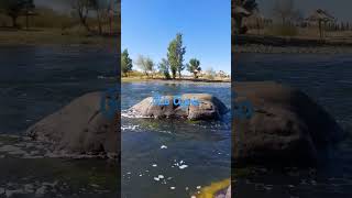 #Ruta40 #Las Lajas#Río Agrio #Neuquén