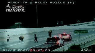 There s a Cow on the Tollway Inside HCTRA s Emergency Management Center Under the Hood