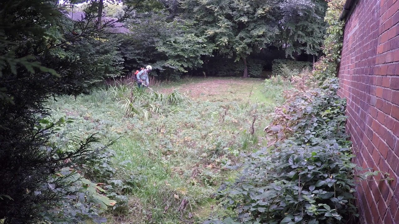 Echo Backpack Strimmer In Action Against Overgrown Garden Youtube