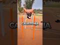 Más Fuerte a los 46 que a los 20 | Transformación con Calistenia 🔥 #calistenia #inspiration