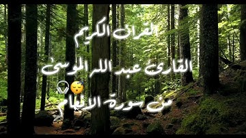 تلاوة خاشعة من سورة الانعام وأن يمسسك الله بضراً حالات واتس اب قران كريم 🎧