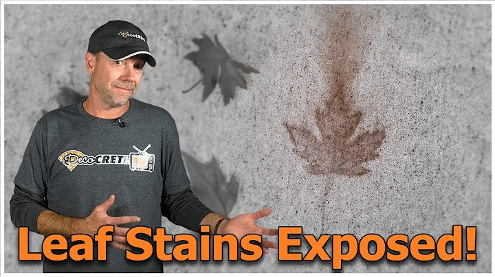 Say Goodbye to Leaf Stains on Concrete with our DIY Formula!