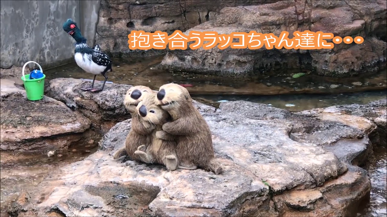 ディズニーシーでベッキーを発見！新アトラクション近くのフォトスポット