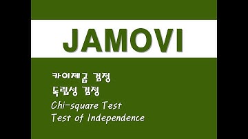 자모비를 활용한 기초통계 - (24) 카이제곱 검정/독립성 검정 (Chi-square Test)/(Test of Independence)