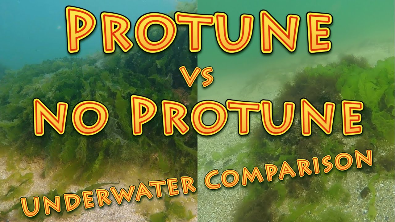 Protune vs no Protune GoPro Hero4 Silver | Underwater Comparison | WHY NO PROTUNE IS SO BAD?