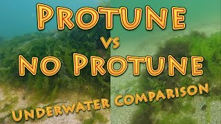 Protune Vs No Protune Gopro Hero4 Silver Underwater Comparison Why No Protune Is So Bad?