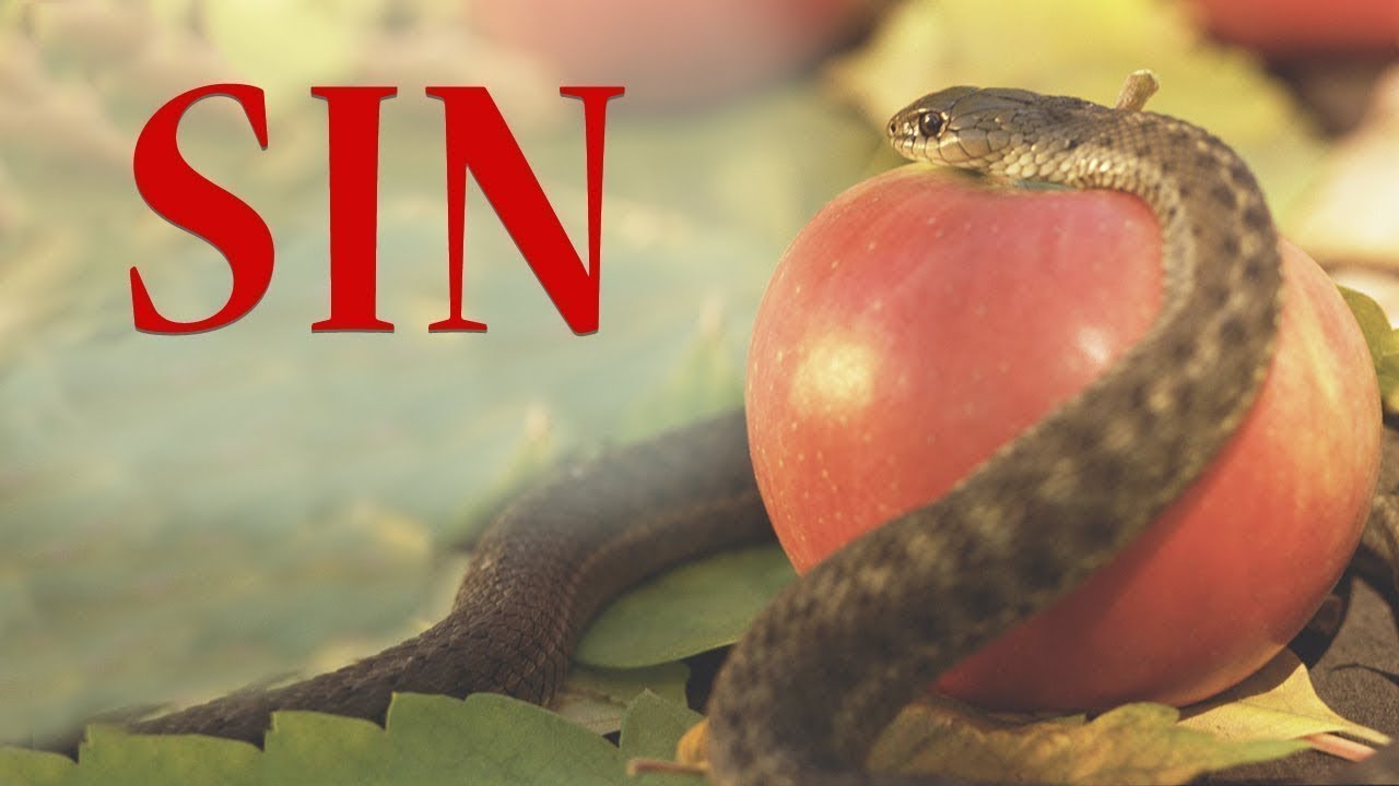 Inkomoko y' ibyaha byose by MWANAFUNZI Ismael