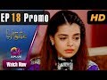 Watch Ishq Ya Rabba - Episode 18 Promo | Aplus Dramas | Bilal Qureshi, Srha Asghar, Fatima Online In HD