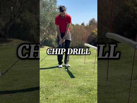 GOLF- CHIP DRILL #golf #golfswing #golftips #golfer #golfgear #golfing #noobsplaygolf #golfdrills