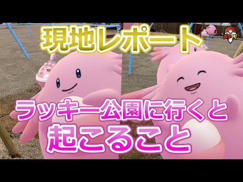 現地レポート ラッキー公園でポケモンgoをプレイすると起こること 福島県以外のポケモンローカルactsなど Youtube