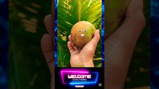 Funny Bel Juice Recipe #shorts #funnyshorts #beljuice #juice #woodapplejuice