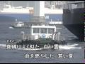 こころの故郷 山城さくら オリジナル