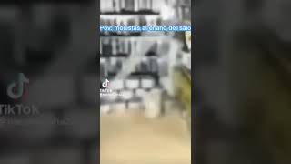 amarillo amarillo amarillo plátano #memes #school #annoying #funnyshorts