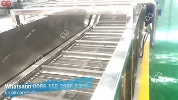 Automatic Mango Washing Waxing and Drying Line