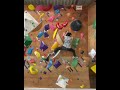 Climbing Gym Walrus 1Q