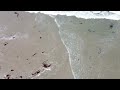 DJI Mavic Mini capturing a beach near Hastings #dji #djidrone #mavicmini #hastings #nature #beach