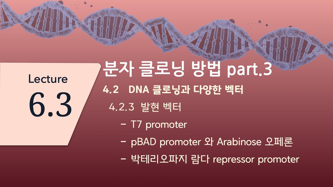 Lecture_6_3_분자생물학_CBNU_2020_2