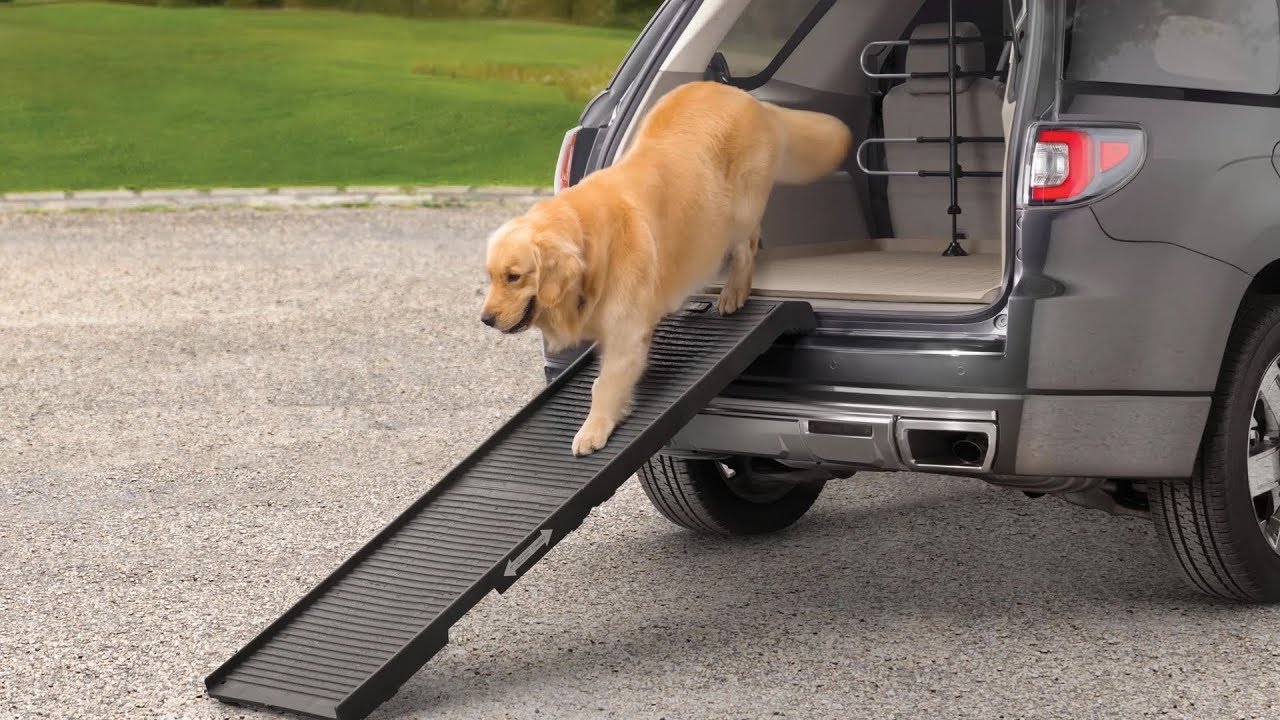 dog ramp for subaru forester