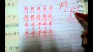 中文 - Week 8 (New Practical Chinese Reader 1)