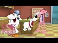 It's Pouring Pink Panther and Dogs! | 50 Minute Dog Compilation