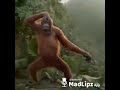 Party Jeyala MadLipz Badamiiii Funny Party Jeyala MadLipz Badamiiii Funny