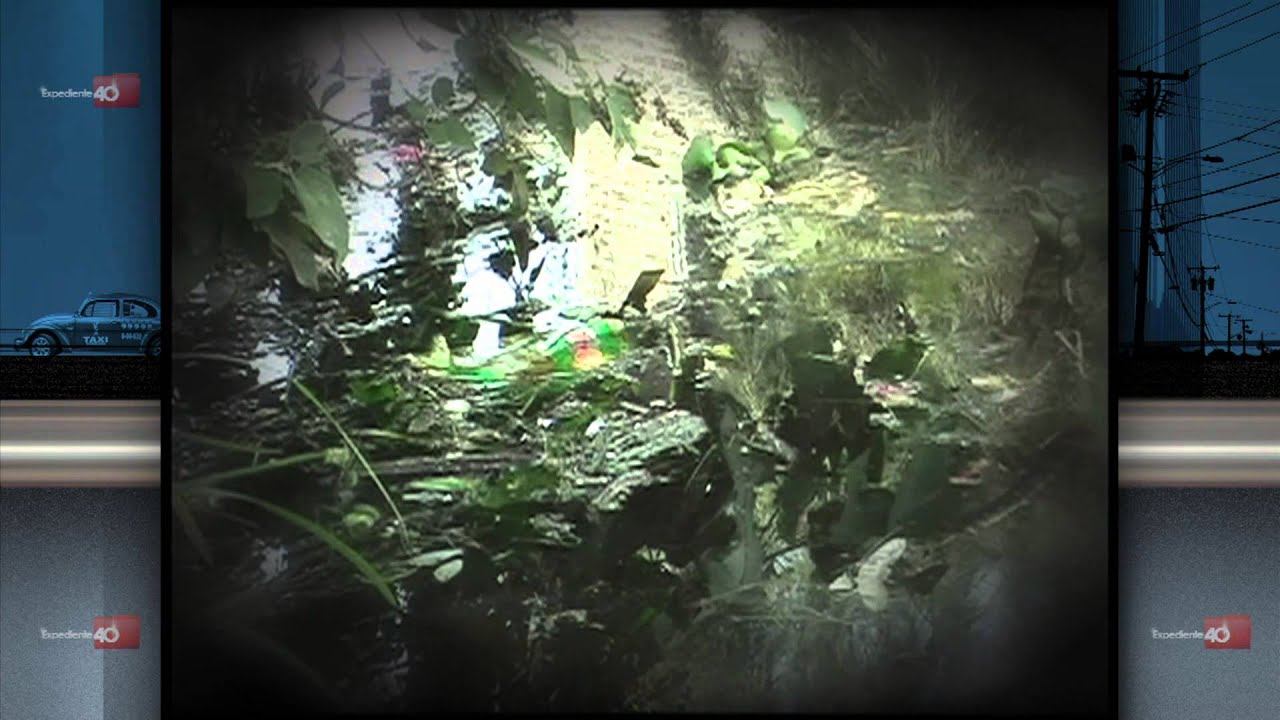 Expediente 40 - El Parque Hundido