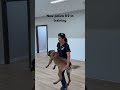 New police K9 in training - K9 Xadan  #k9  #police  #specialforces #malinois #dogtraining