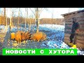 НОВОСТИ ОТ ПЕЧАЛИ ДО РАДОСТИ