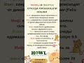 Миф или факт? Откуда произошли кошки 🐱 #кошки #мифыифакты #cat
