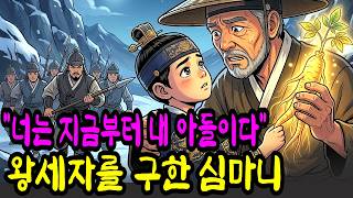 쫓기는 천재 세자를 숨겨 구해준..아들 잃은 심마니 야담 | 민담 | 설화 | 옛날이야기