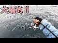 【調査釣行】真冬の海で大爆釣‼