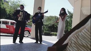 Eski̇şehi̇r Karşilama Kokteyl Müzi̇k Gruplari 05442343916 Trio Kiralama.müzik Grubu Resimi