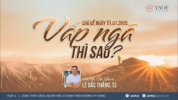VẤP NGÃ THÌ SAO? | Gv: Cha Giuse Lê Đắc Thắng, SJ.