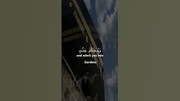 حــنجره ذهــبية  تلاوة القرآن 🍂 اسمع بقلبك 💛