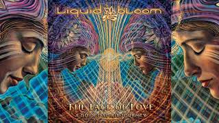 Liquid Bloom  The Face of Love: A Guided Spirit Journey [Full Album]