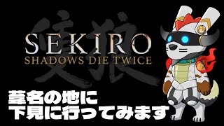 【SEKIRO】ほう、ここがあしなですか（のんびり急ぐクリアルートの下見へ）【SHADOWS DIE TWICE】