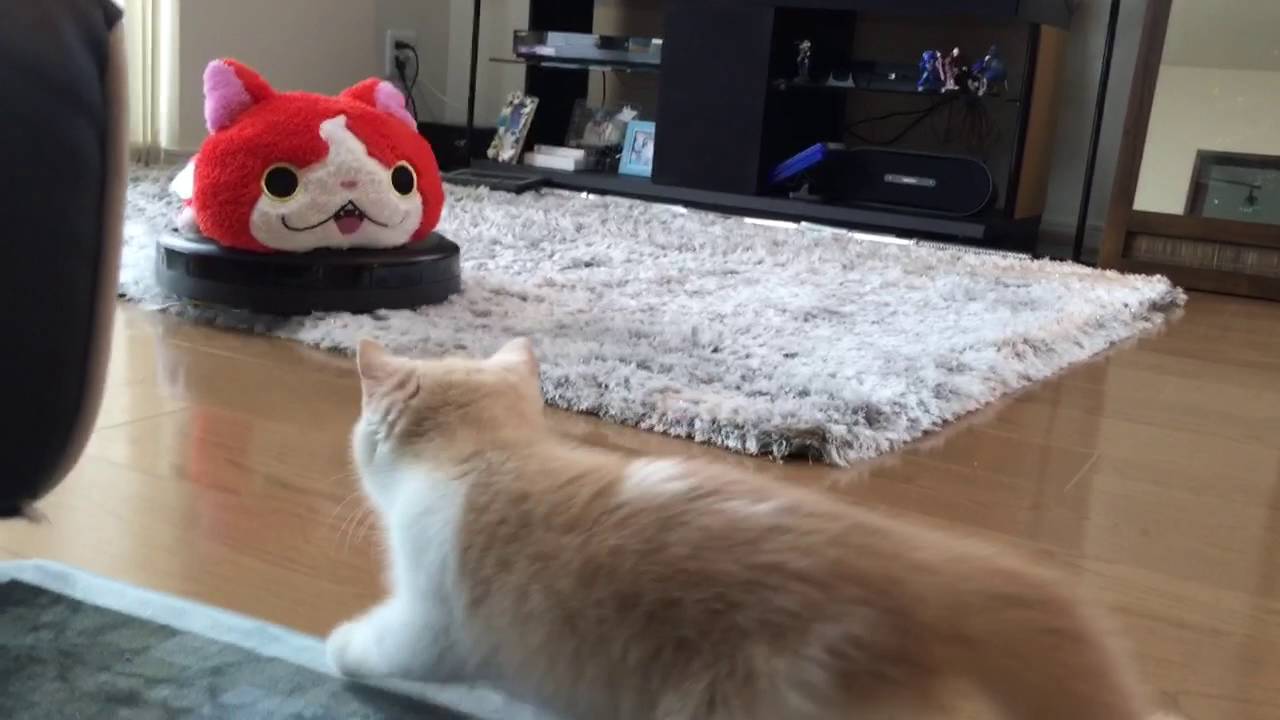 子猫がルンバを怖がるので ルンバを猫っぽくしてみた Youtube