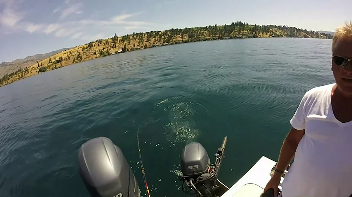 Lake Chelan Mackinaw with Jeff Witkowski of Darrel...