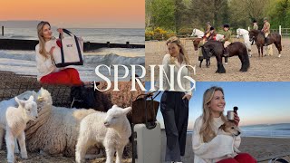 SPRING VLOG - Sunrise Beach Morning, Belfast Horse Show &amp; Newborn Lambs 🧺🐎☕️
