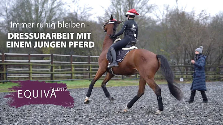 Dressurarbeit mit einem jungen Pferd - Talents ler...
