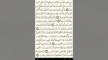 ماهر المعيقلي سورة فصلت مكتوبة صفحة 481 مصحف المدينة المنورة جودة عالية