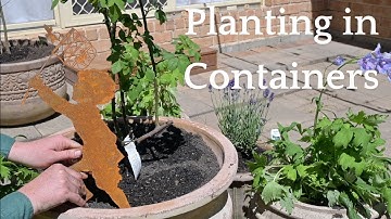 Planting Up Beautiful Containers In The New Patio Area