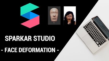 Sparkar Studio -  Deformation Face