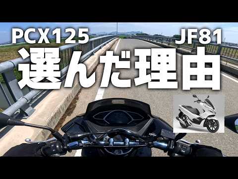 【JF81】カブもあるのになぜPCX125を選んだ?150や他ではない理由とは!?【納車】