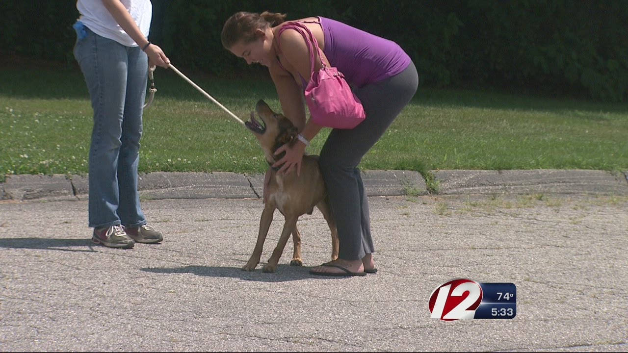 Keeping pets safe during extreme heat