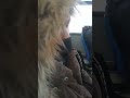 Joke Crystal change at the skiing field trip 🎿 