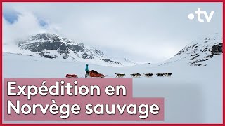 Grand Nord en immersion avec des chiens de traîneaux